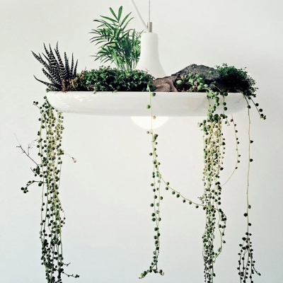 Grass Decoration Modern Designer White Pendant