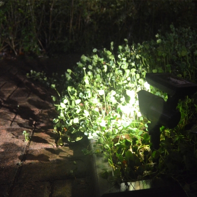 Set of 2 Plastic Black Finish Bright LED Solar Outdoor Garden Light Stake