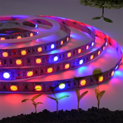 

12W Waterproof LED Grow Lights LED Strip 5050 Plant Growth Light Full Spectrum (5m/lot, GL438414