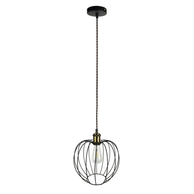 Industrial Hanging Pendant Light 11" Wide with Apple Shape Metal Cage in Black