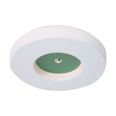 Acrylic Flushmount with Round Shade Macaron Colorful Ceiling Light for Kids in Warm/White