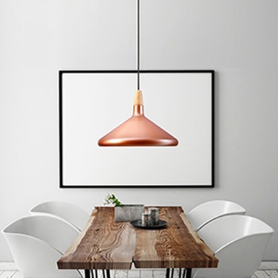 Polished Copper/Silver Finish 1 Light Cafe Hanging Lamp in Modern Simple Style