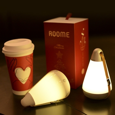 Plastic Auto Sensing Chargeable Mini Lantern Night Light 5 Style for Option 