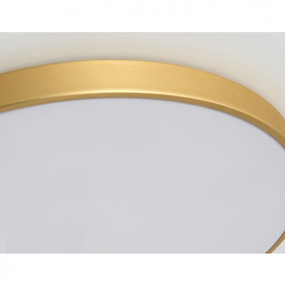 Ultra-Modern Style Polished Brass Led Ceiling Lights Gold Ultra-thin Round Flush Mount Led Lighting