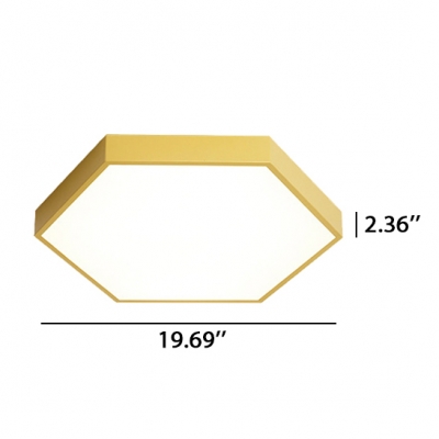 Multicolor Metal LED Ceiling Light Hexagonal LED Surface Mount Light 18/24/40W 3000-3300/6000-6500K