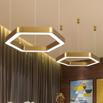 Modern Hexagon Pendant Light in Gold Finish Iron and Acrylic Drop Light 16/23.5 Inch Wide