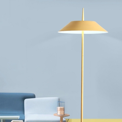 Designers Style Coolie Floor Light Steel Single Light Floor Lamp in Gold for Bedroom