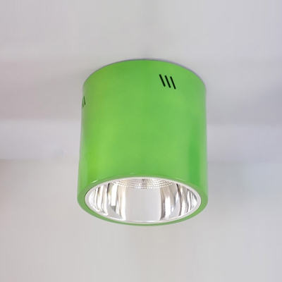 Cylinder 1 Head Flush Light Blue/Green Metal LED Ceiling Lamp for Nursing Room