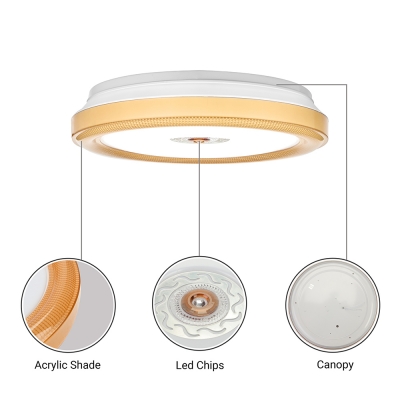 Acrylic Round Ceiling Lamp Modernism LED Flush Light Fixture in Blue/Brown/White for Hallway
