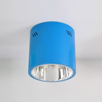 Cylinder 1 Head Flush Light Blue/Green Metal LED Ceiling Lamp for Nursing Room