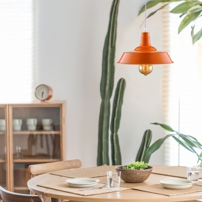 Fresh Orange 1 Light LED Pendant in Barn Style