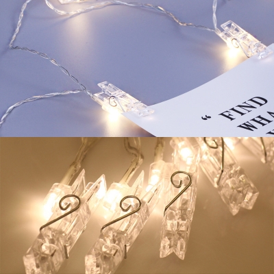 Pack of 2 4ft LED Fairy Lights 10 Lights Remote Control Hanging Lights with Clips for Garden Yard