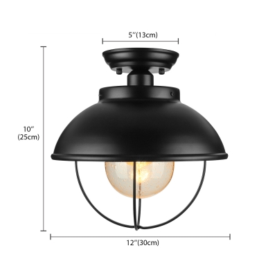 Close To Ceiling Light with Clear Glass in Black Finish