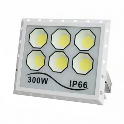 Pack of 1 LED Security Light Outdoor Wireless Waterproof Flood Light