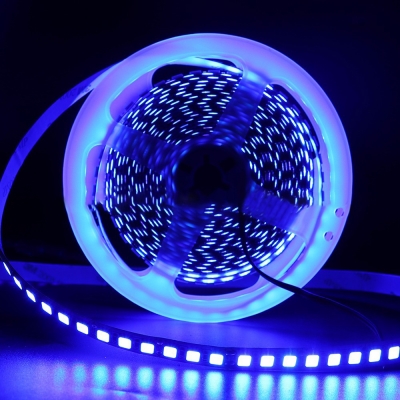 16ft Portable Light Strip 5054 LED Color Changing Ribbon Light for Garden Patio