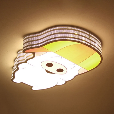 Acrylic Flush Mount Light with 5 Pattern Choice Third Gear Lovely Ceiling Light for Child Room