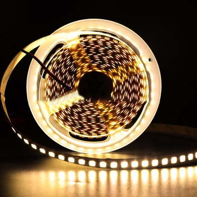 16ft Portable Light Strip 5054 LED Color Changing Ribbon Light for Garden Patio