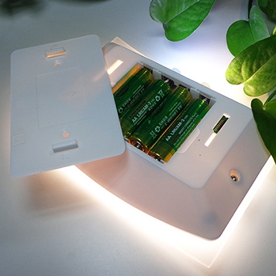 Remote Control 10 LED Night Light Battery Powered Off-On-Auto Switch Wall Light in White/Warm