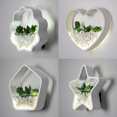 Wavy/Pentagon/Star/Heart Wall Light Modern Acrylic Wall Sconce with Plant Stone Decoration for Foyer
