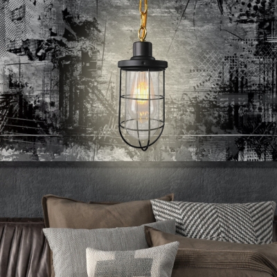Industrial Wire Frame Pendant Lamp 1 Light Clear Glass Hanging Light in Black for Kitchen Cafe