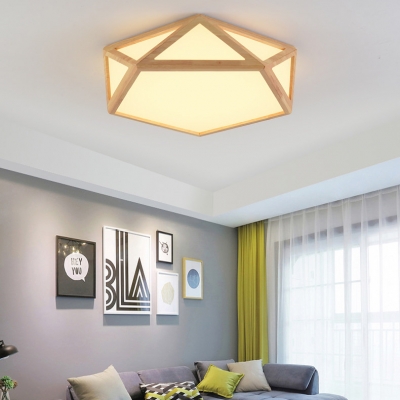 Acrylic Pentagon Flush Mount Light Study Room Contemporary Industrial Ceiling Lamp in Warm/White