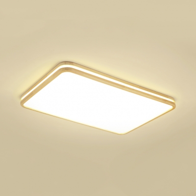 Dining Room Rectangle Flush Ceiling Light Acrylic Modern Stylish White LED Ceiling Lamp in Warm/White