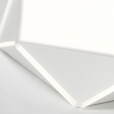 Acrylic Pentagon Shape Flush Light Study Room Modern Black/White LED Ceiling Lamp in Warm/White