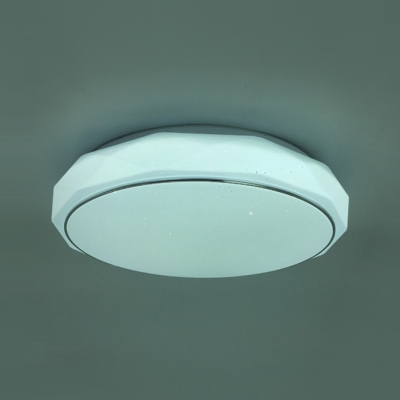 Living Room Circle Ceiling Light Acrylic Remote Control Led Flushmount