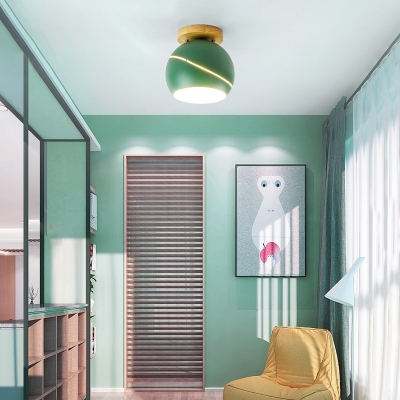 Green/Pink/Gray Spherical Flush Mount Light Fixture Contemporary Metal 1 Head Indoor Ceiling Mounted Light