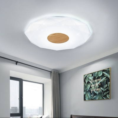 Geometric Acrylic Ceiling Fixture Modern Stylish 14.5