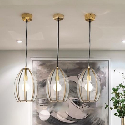Oval/Rugby/Dome Clear Glass Suspension Light Traditional 12