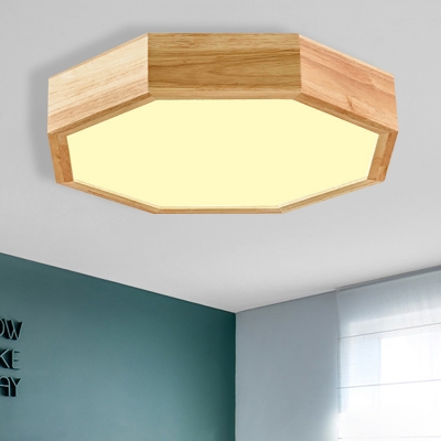 Octagon Living Room Flush Light Acrylic, Octagon Ceiling Light Fixture