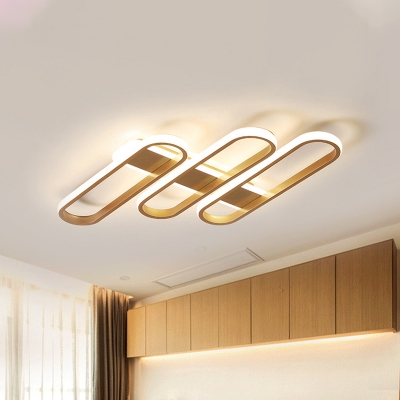 Acrylic Oval Ceiling Light Postmodern Gold LED Flush Mount Light in Warm/White Light for Living Room