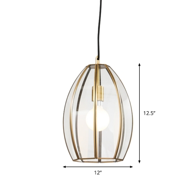 Oval/Rugby/Dome Clear Glass Suspension Light Traditional 12