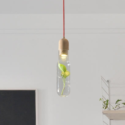 Beige Bottle Suspension Lamp Industrial Clear Glass 1 Head Dining Room Ceiling Pendant with Plant Deco