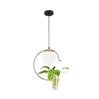 Gold/Black 1 Head Hanging Pendant Industrial Milk White/Smoke Grey Glass Globe Ceiling Lamp with Plant Deco