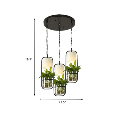 3 Bulbs Metal Multi Light Pendant Industrial Black Cylindrical Restaurant Plant Suspension Lighting with Round/Linear Canopy