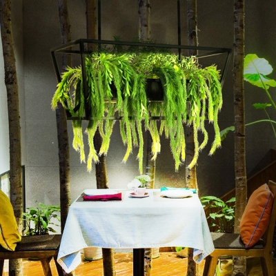 2 Heads Metal Island Pendant Antique Black Trapezoid Restaurant LED Down Lighting with Plant Decor