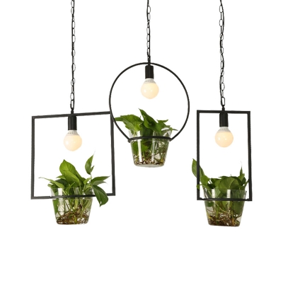 Bare Bulb Restaurant Cluster Pendant Industrial Metal 3 Lights Black LED Hanging Ceiling Light with Plant