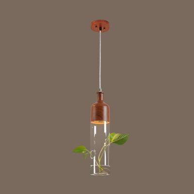 1 Head Tube Pendant Lighting Industrial Clear Glass Hanging Light in Brown with Plant Deco