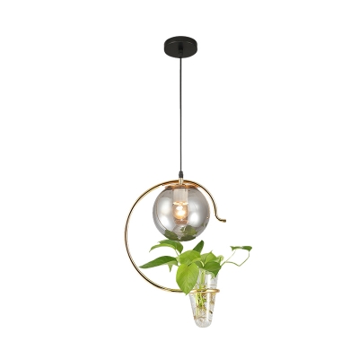 Gold/Black 1 Head Hanging Pendant Industrial Milk White/Smoke Grey Glass Globe Ceiling Lamp with Plant Deco