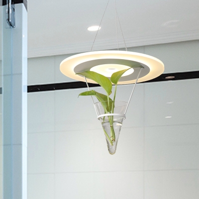 Led Pendant Light Industrial Disk Acrylic Ceiling Light with Plant Deco in White, White/3 Color Light