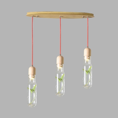Wood 3/6 Bulbs Cluster Pendant Antique Metal Bottle LED Ceiling Lamp with Plant for Living Room