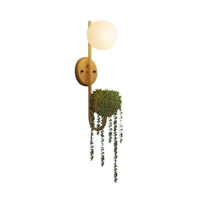 Sphere Bedroom Sconce Light Industrial Metal 1 Bulb Yellow/Blue/Green LED Wall Lighting with Plant Decoration
