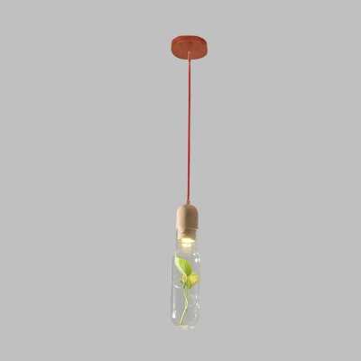 Beige Bottle Suspension Lamp Industrial Clear Glass 1 Head Dining Room Ceiling Pendant with Plant Deco