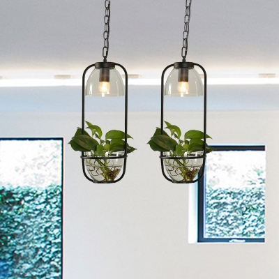 2/3 Bulbs Bowl Cluster Pendant Light Industrial Black/White Metal Plant Down Lighting with Round/Linear Canopy