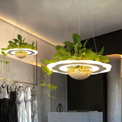 Led Acrylic Hanging Lamp Kit Industrial White Round/Flower Dining Room Pendant Light with Plant Decoration, Warm/White/3 Color Light