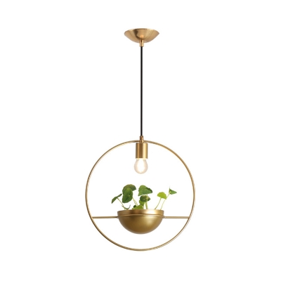 Circle Restaurant Pendant Lighting Industrial Metal 1 Bulb Gold Plant Hanging Light Fixture