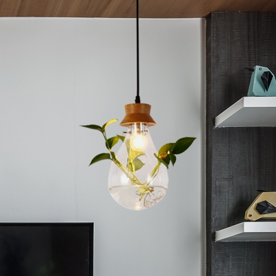 1 Head Clear Glass Pendant Ceiling Light Industrial Black Bulb Indoor Hanging Lamp with Plant Deco