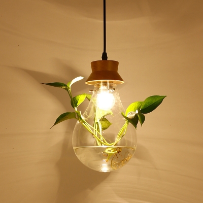 1 Head Clear Glass Pendant Ceiling Light Industrial Black Bulb Indoor Hanging Lamp with Plant Deco